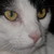 :iconthepencilismyweapon: