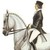 :icontheperfectequestrian:
