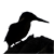 theperfectjez :icontheperfectjez:
