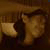 :iconthephoenixrox: