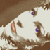 :iconthephotomuse: