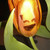 :iconthephotowithinlife: