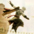 :iconthepirateassassin: