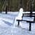 :iconthepostman1: