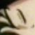 :iconthepotato: