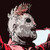 :iconthepurehero: