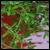 :iconthepurple-horse: