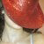 :iconthequartzcorset: