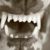 :icontherabidphotographer: