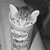 :icontherainbow96: