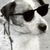 :icontherapacci: