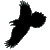 :icontheraven1982: