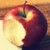 :icontheravine: