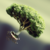 :icontherawrliveson: