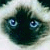 :iconthereal-darkelegance: