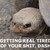 :icontherealjetcannon: