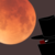 :icontherealsray: