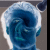 :iconTHEREALV3N0M: