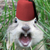 :icontherebelinhell: