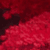 :icontheredfall: