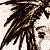 :icontheredival: