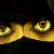 :icontheredstargirl:
