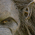 :icontherefinedwerewolf: