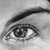 theresebees :icontheresebees: