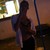 :icontheribz:
