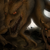 :icontherisingsoul: