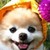 :icontherosedark: