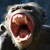 :icontherottenheart: