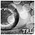 :icontherottinglab: