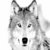 :icontherunningwolf: