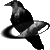 :icontherverian: