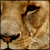 :iconthescamp: