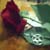 :iconthescarletrose: