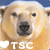 :icontheseekersclub: