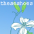 :icontheseshoes: