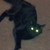 :icontheshadedtrees: