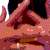 :icontheshadowinverts: