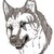 :icontheshadowmind: