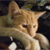 theshatteredgiver :icontheshatteredgiver: