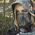TheShinester :icontheshinester: