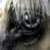 :iconthesilverlightning:
