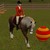 :iconthesims3petsfan: