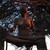 :icontheskyhazfallen: