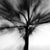 :iconTheSkyMovesSideways: