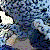 :icontheslushie: