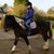 :iconthesnowstallion:
